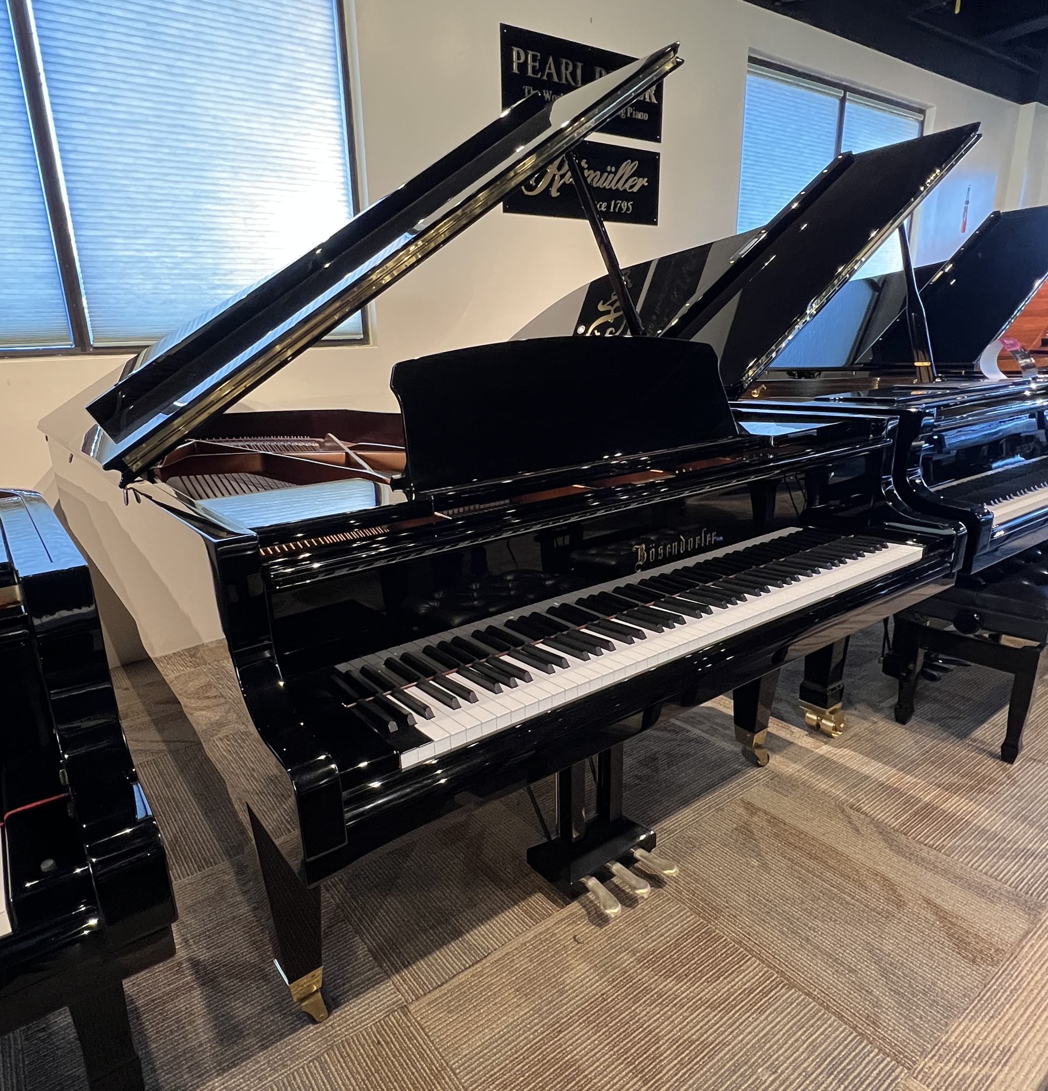 Bösendorfer 225 — thumbnail 2