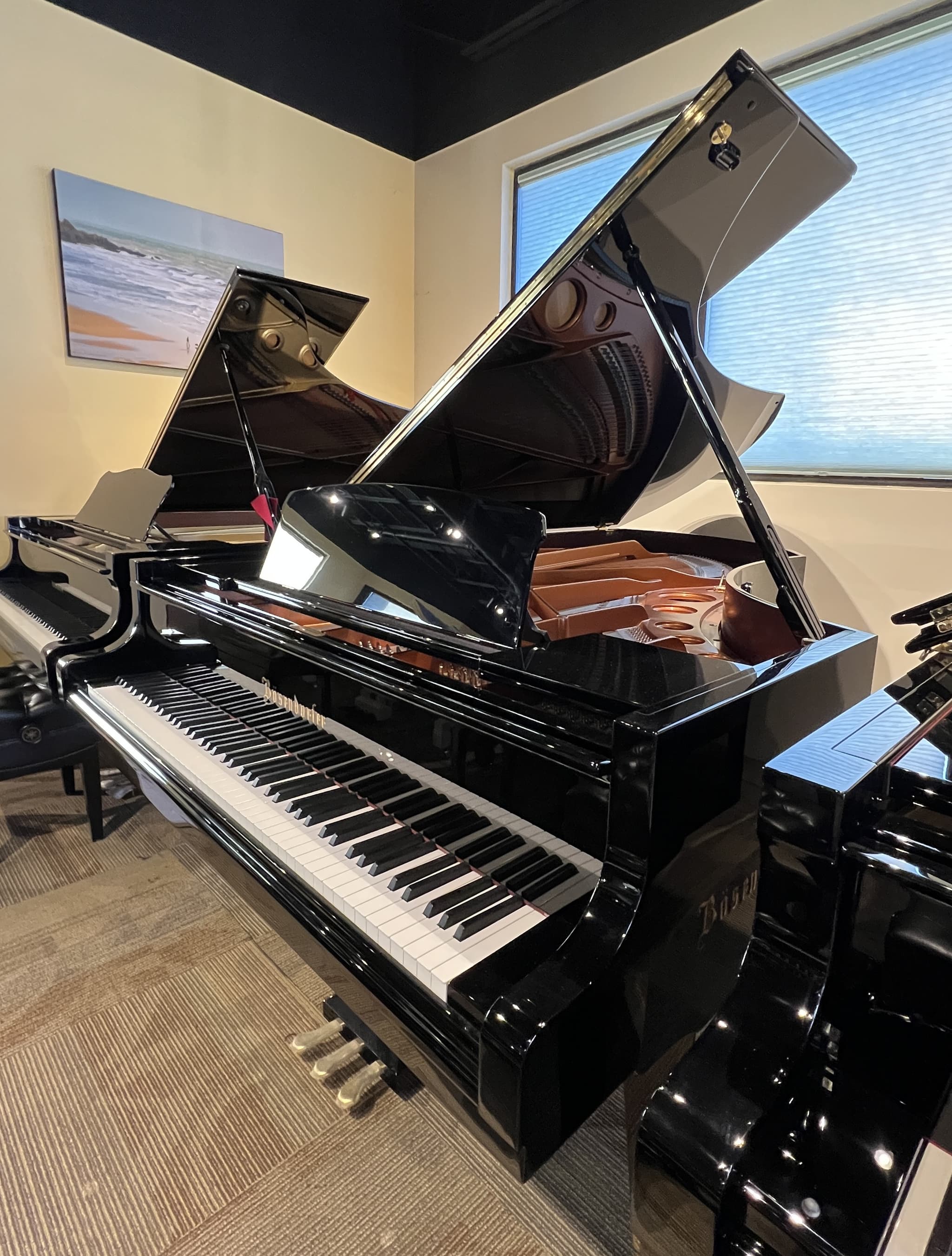 Bösendorfer 225 — thumbnail 3