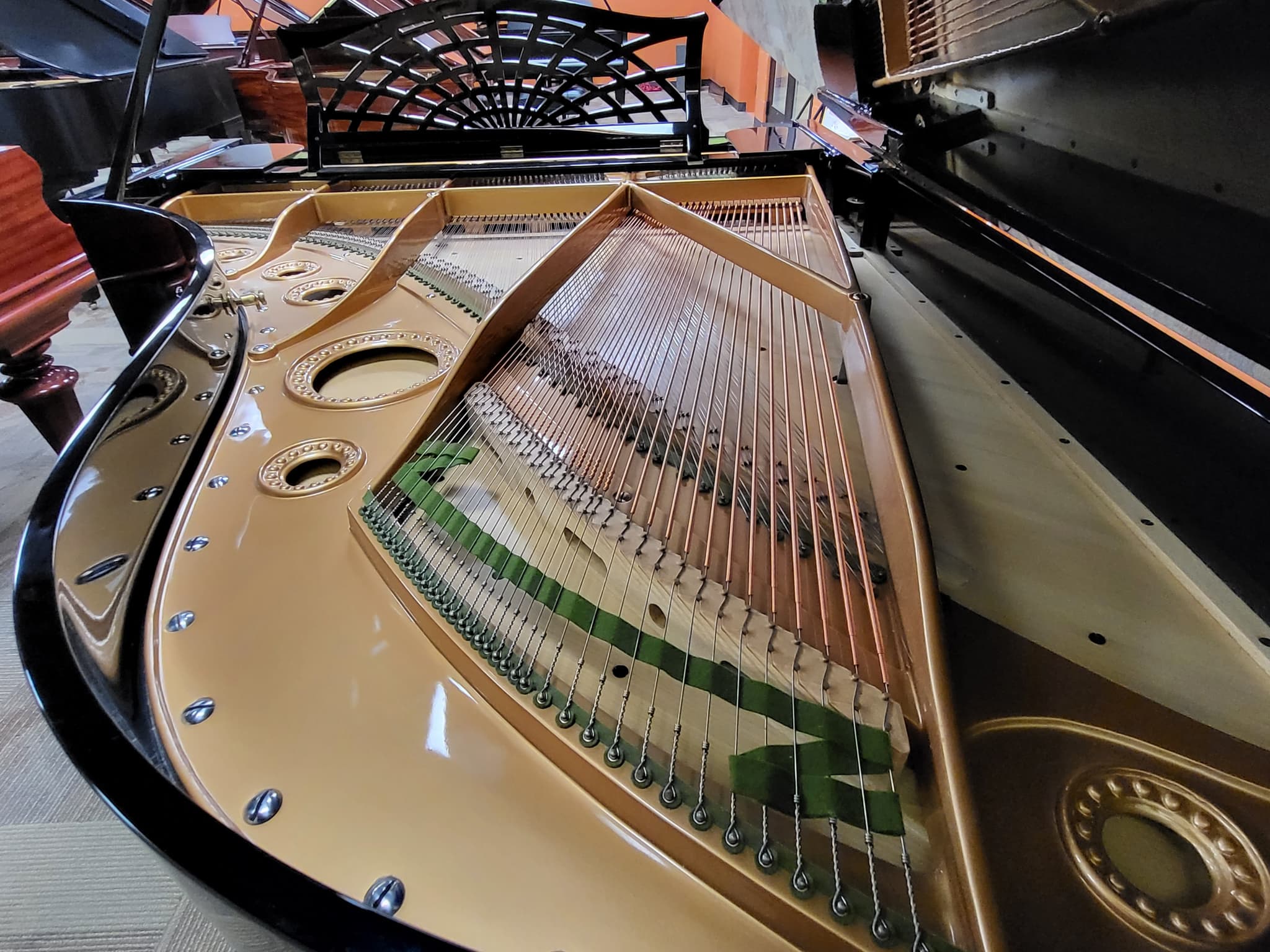 C. Bechstein Model B — photo 5