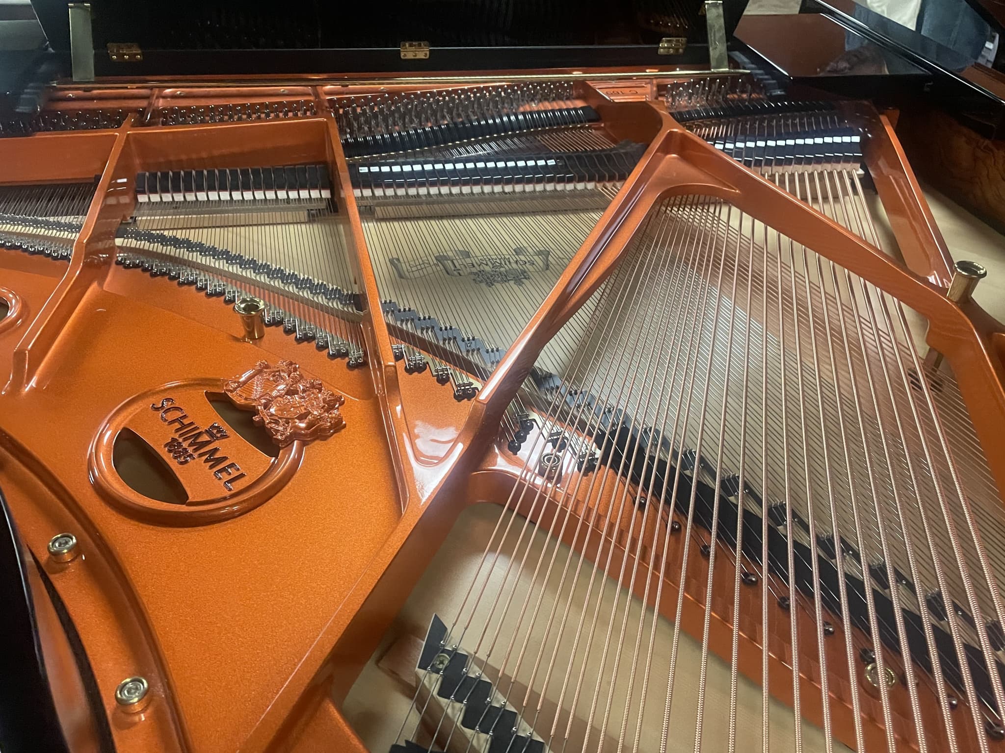 Schimmel C169TI with Inlay — photo 5