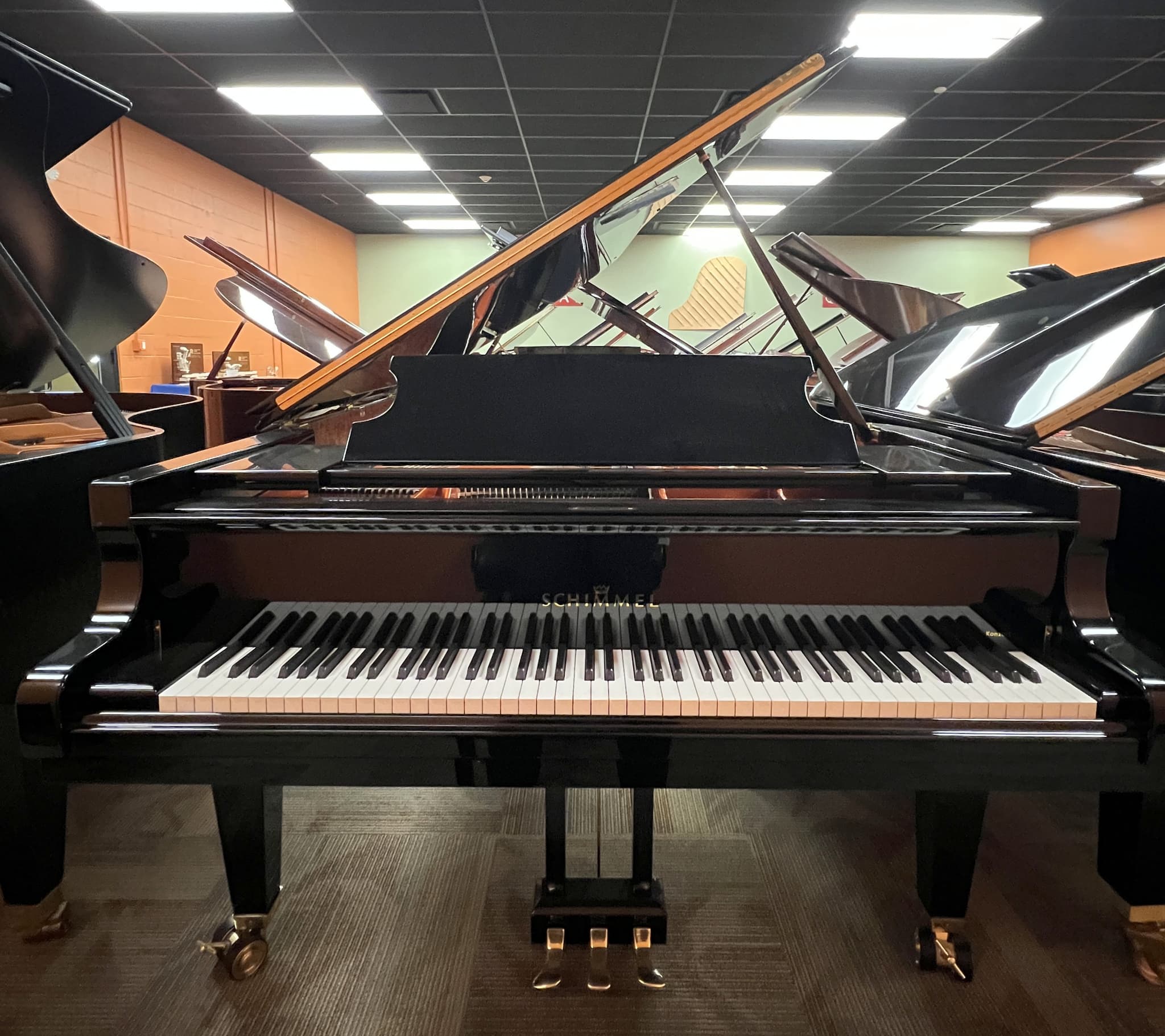 Schimmel K219
