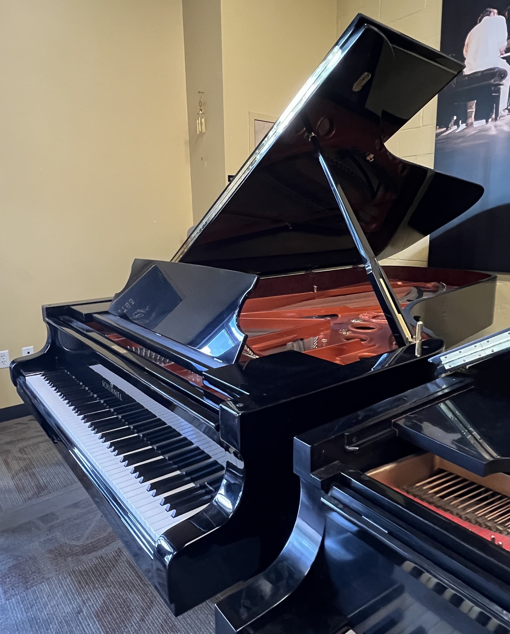 Schimmel K280