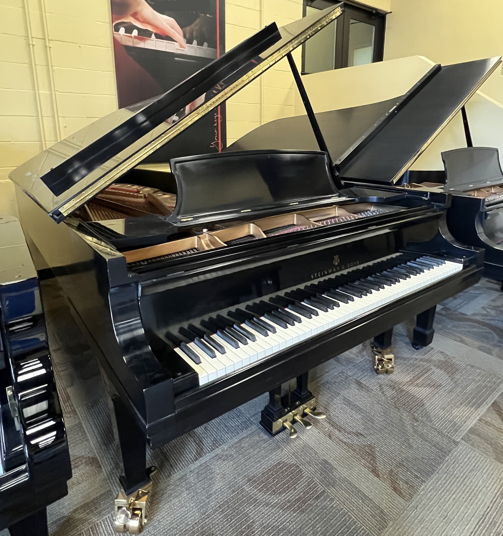 Steinway D — thumbnail 3