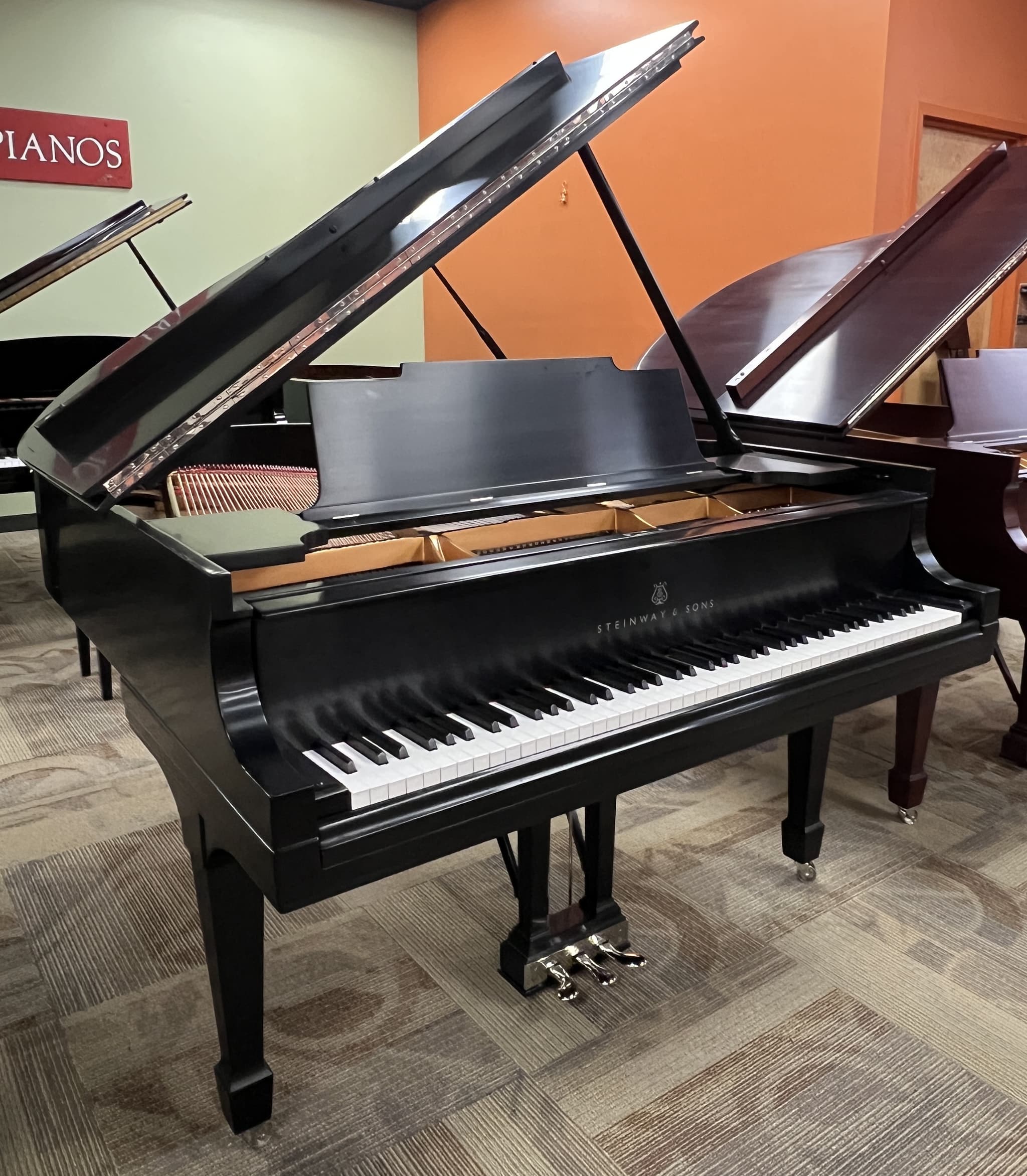 Steinway M — thumbnail 3