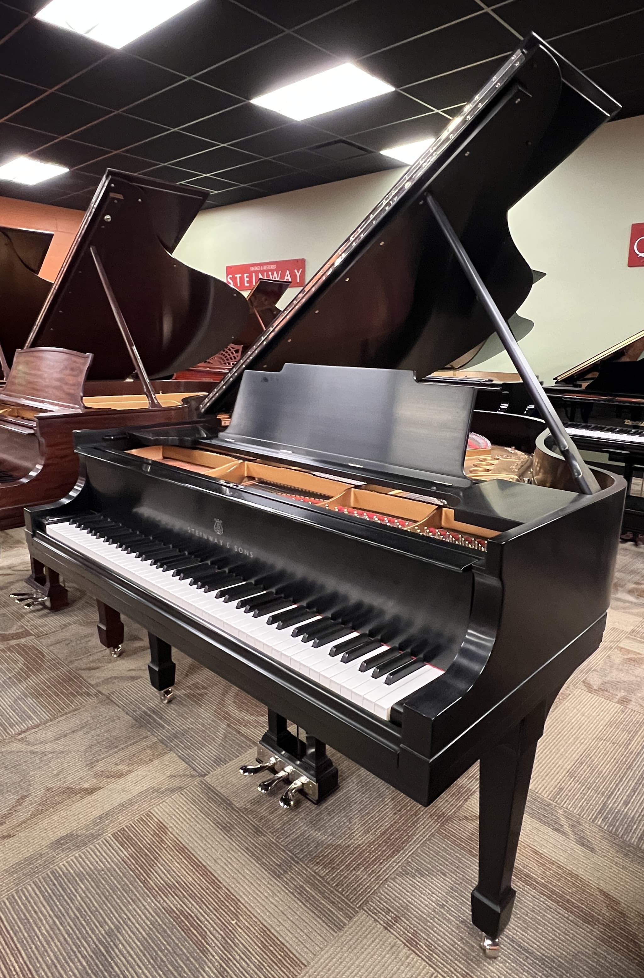 Steinway M