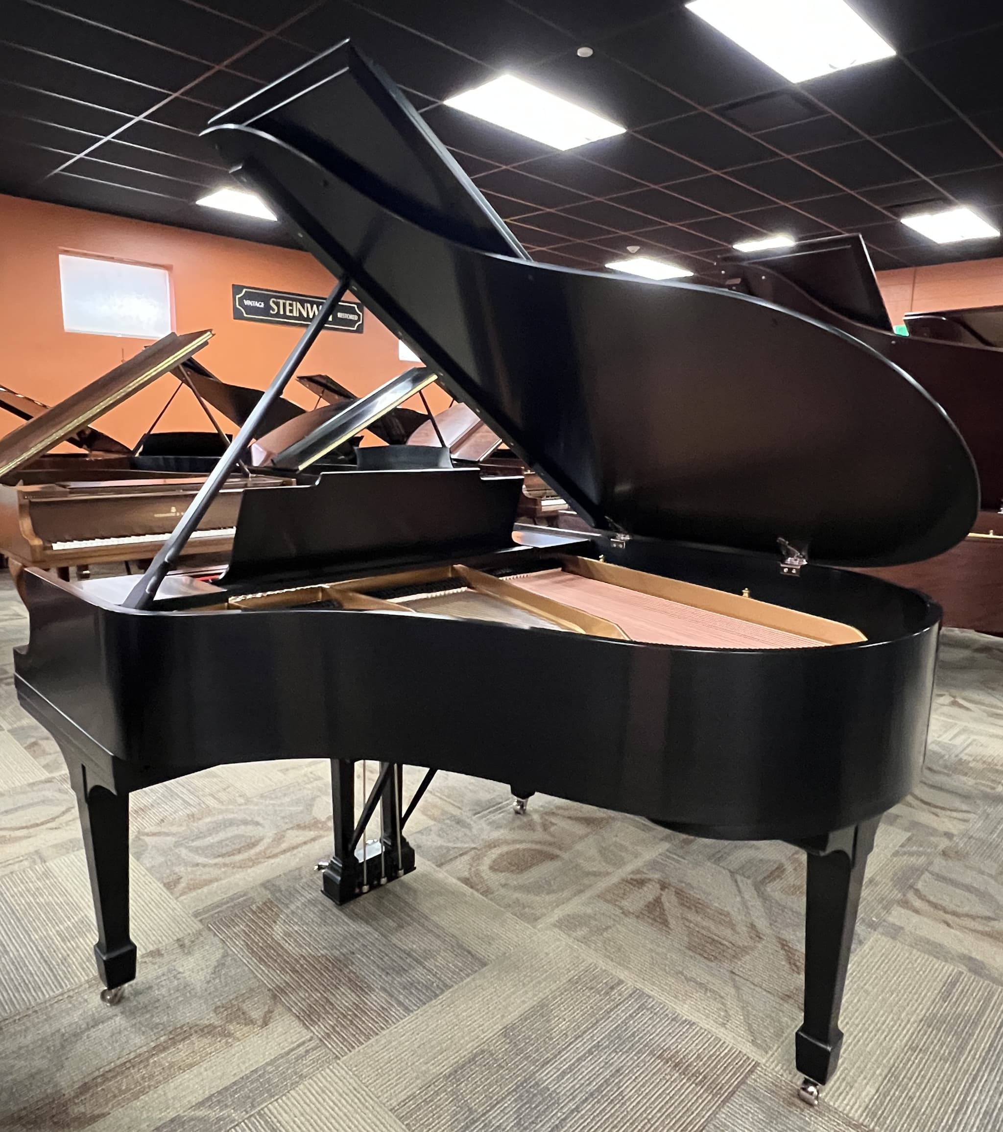 Steinway M — thumbnail 2