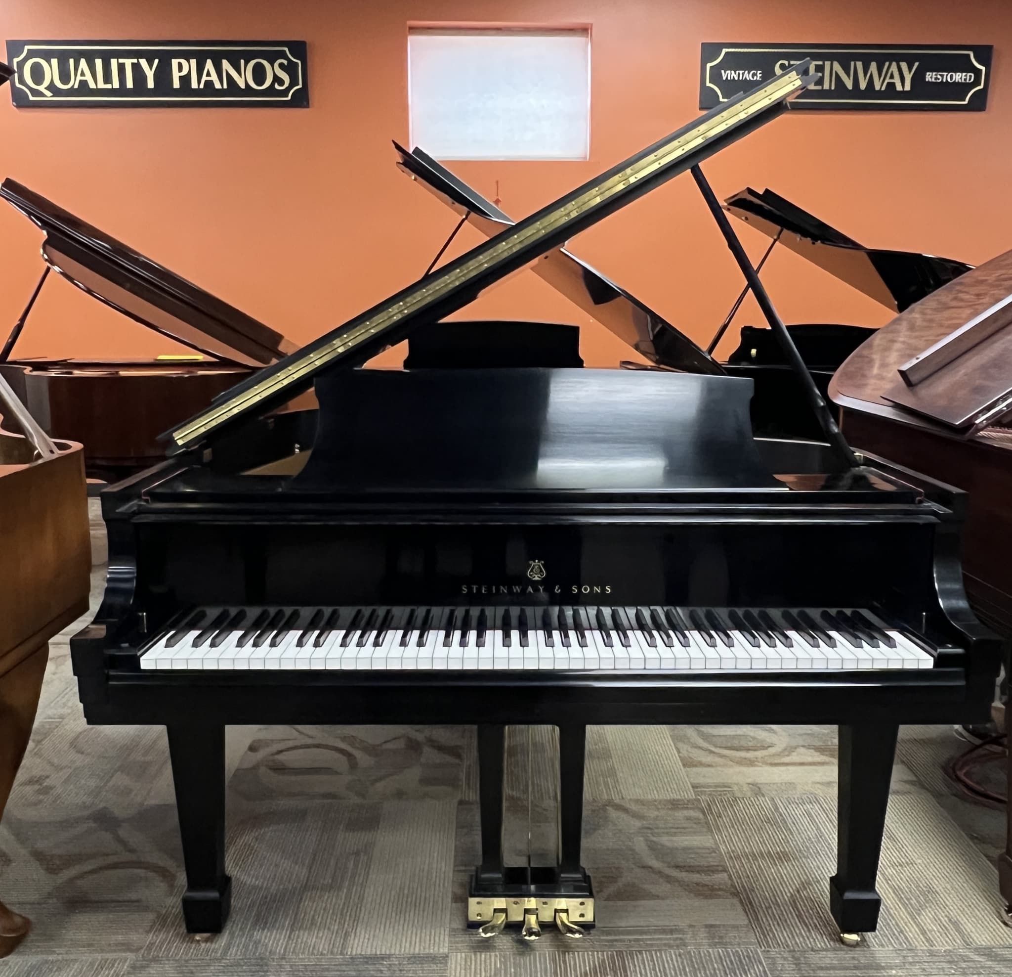 Steinway M