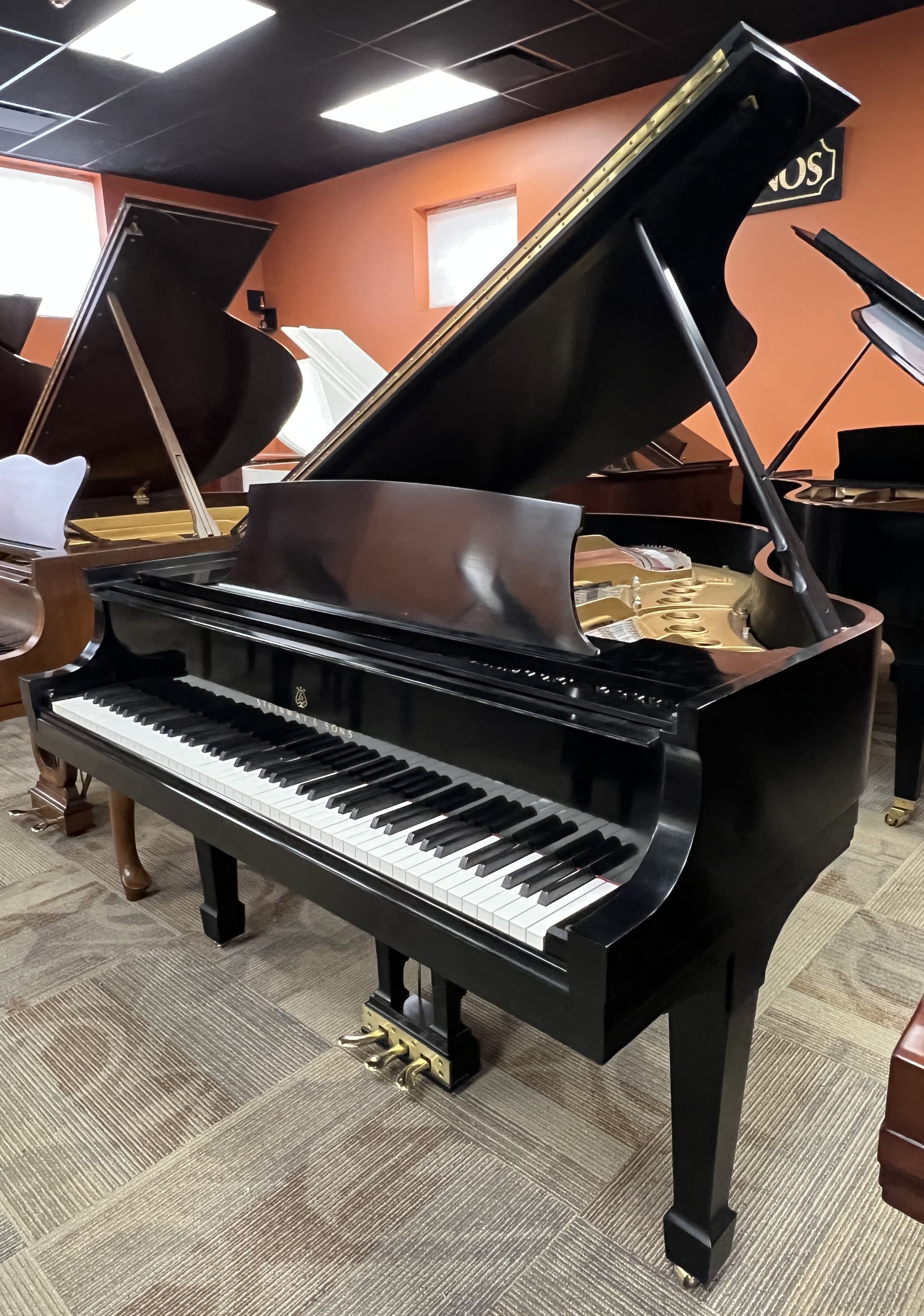 Steinway M — thumbnail 4