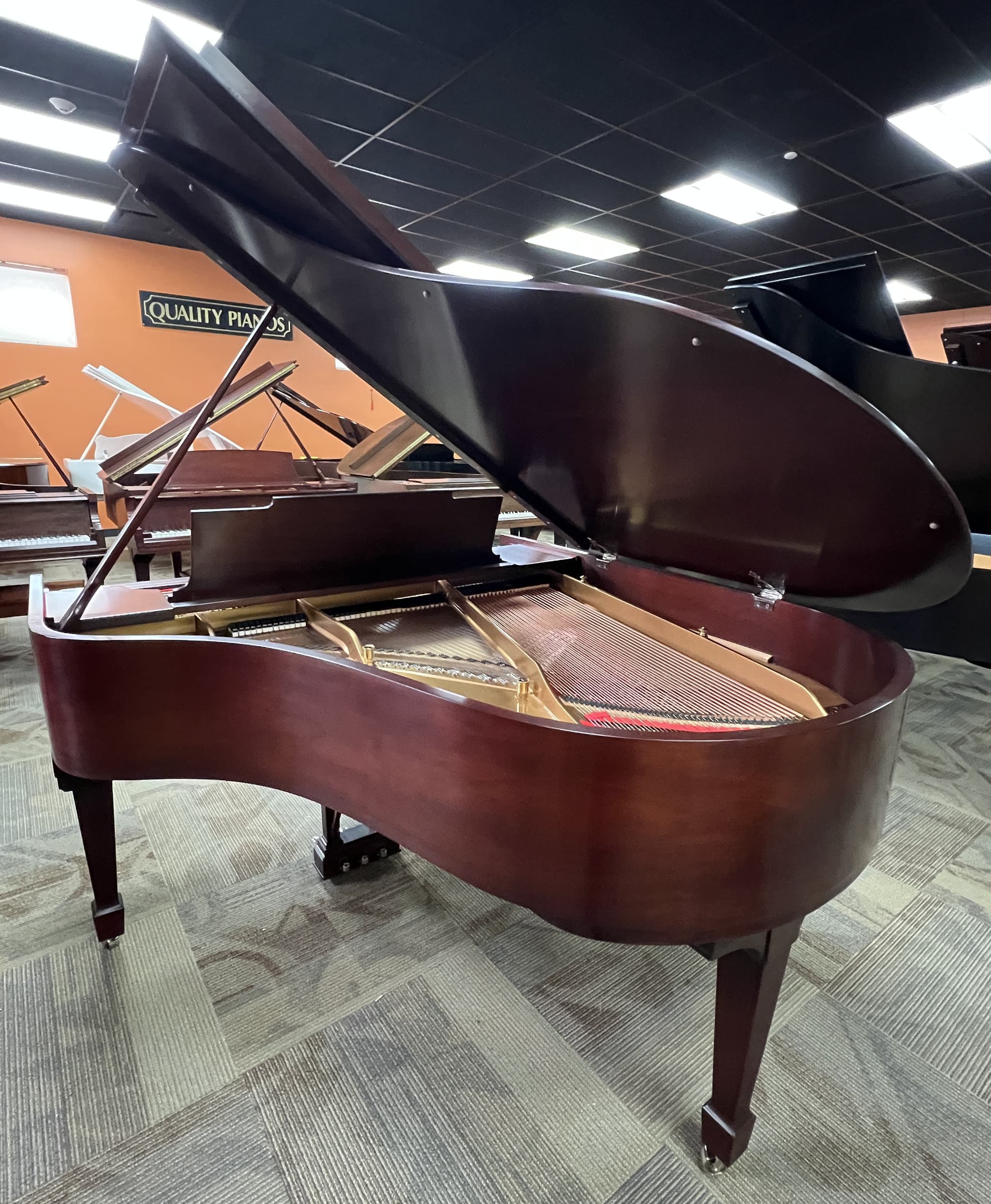 Steinway M — thumbnail 5