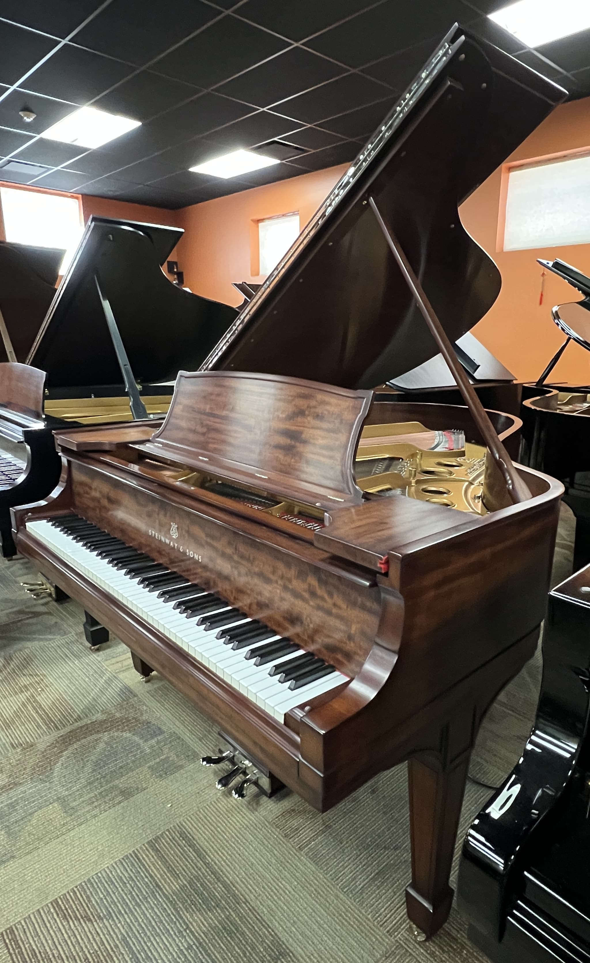 Steinway O