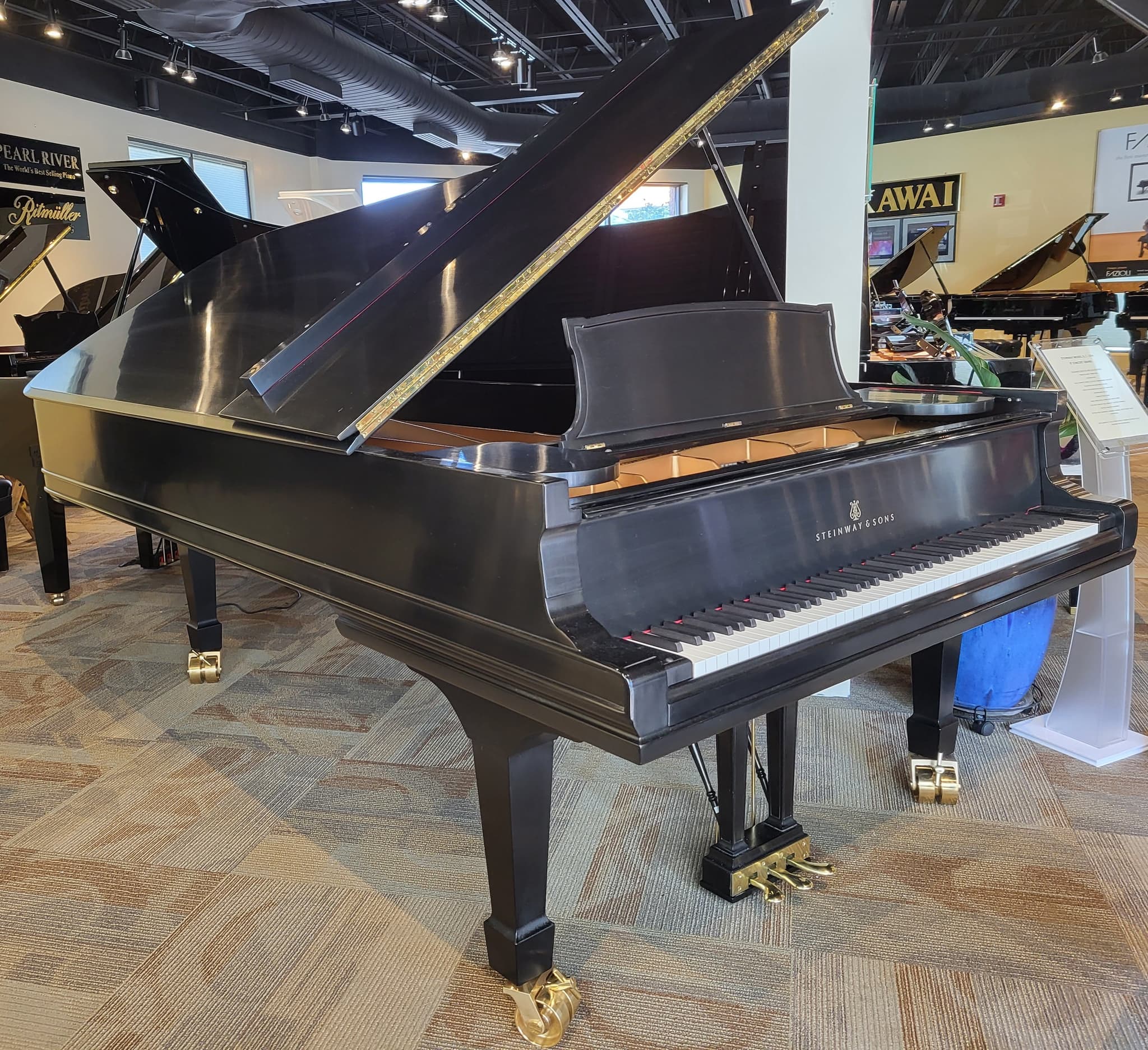 Steinway D — photo 2